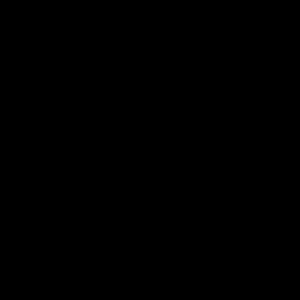 Meet your Posher, Regina